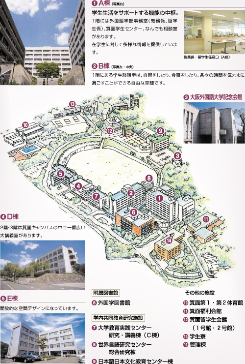大学 語 大阪 外国