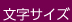 文字サイズ